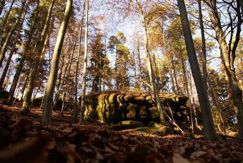 Landpension Bielatal - Raum Luaran gambar